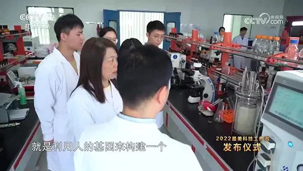 实验室发酵罐 实验室发酵罐