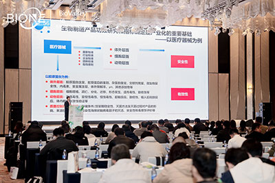 峰会会议现场图2 峰会会议现场图2