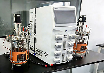 今年会实验室双联发酵罐Twin220